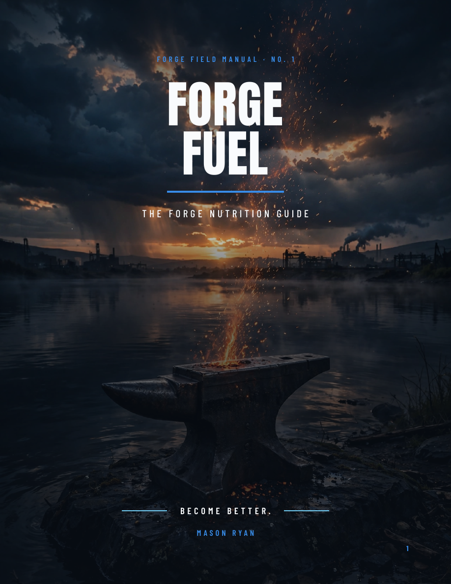 Forge Fuel cover